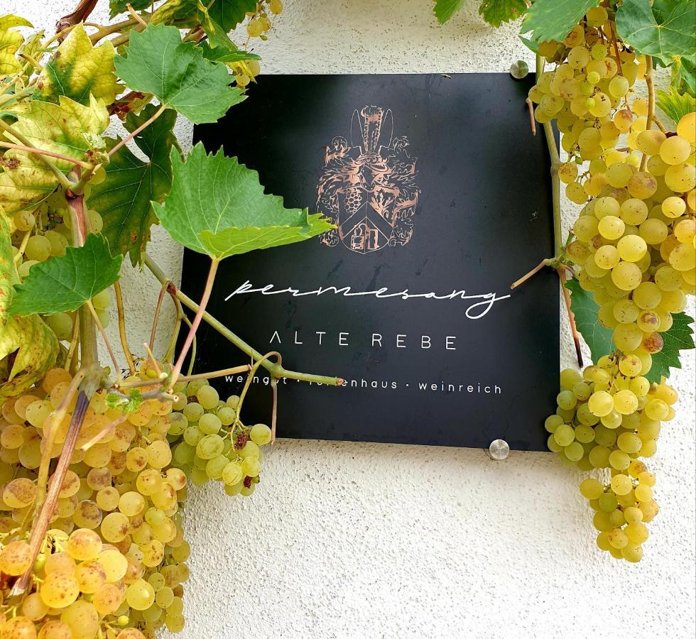 קונז Zur Alten Rebe Ferienhaus Und Weingut מראה חיצוני תמונה
