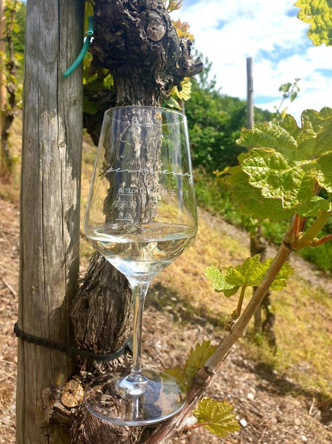 קונז Zur Alten Rebe Ferienhaus Und Weingut מראה חיצוני תמונה