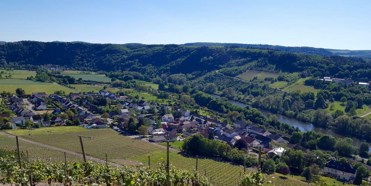 קונז Zur Alten Rebe Ferienhaus Und Weingut מראה חיצוני תמונה