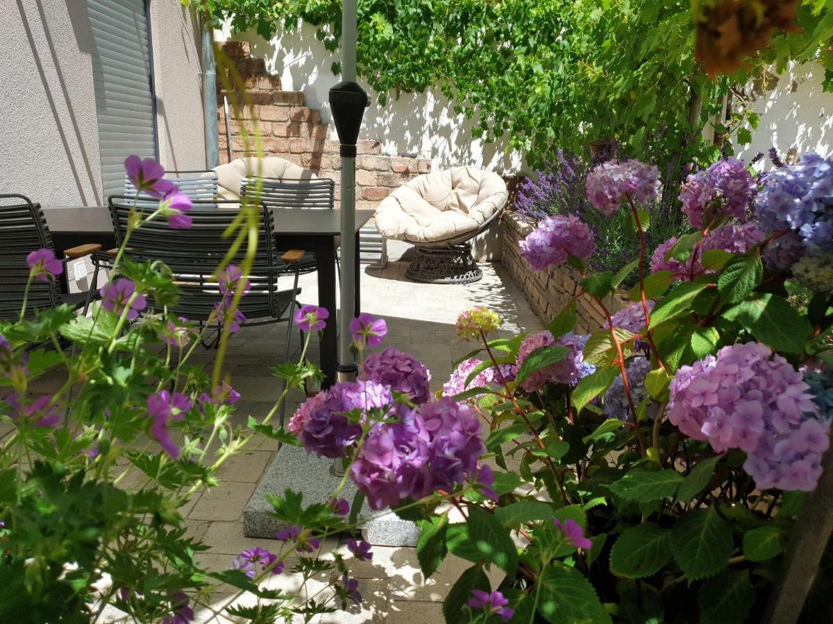 קונז Zur Alten Rebe Ferienhaus Und Weingut מראה חיצוני תמונה
