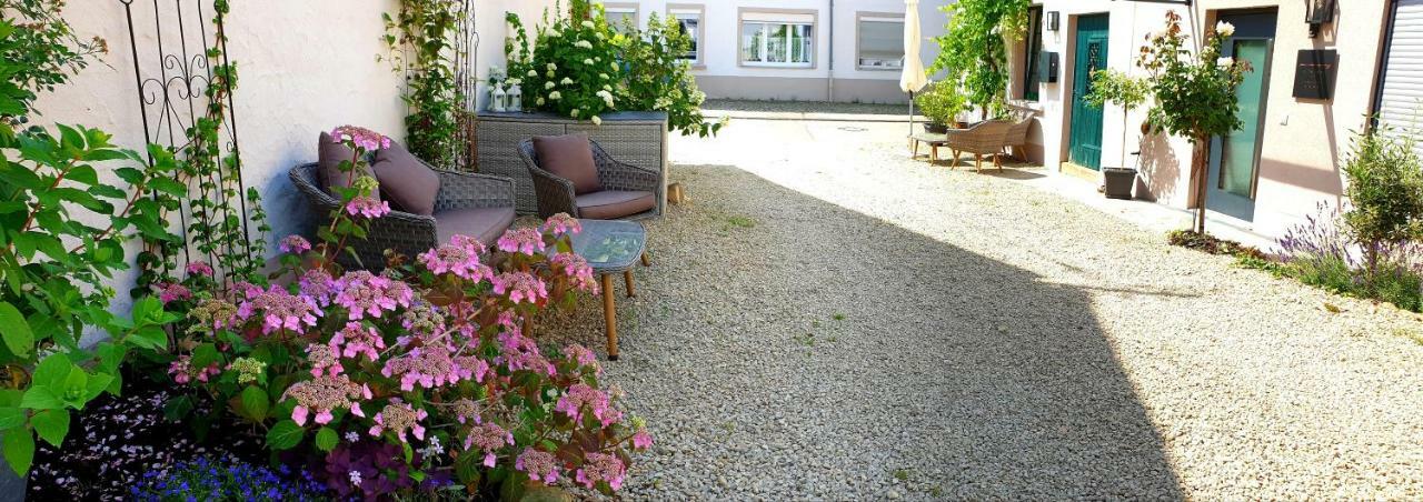 קונז Zur Alten Rebe Ferienhaus Und Weingut מראה חיצוני תמונה