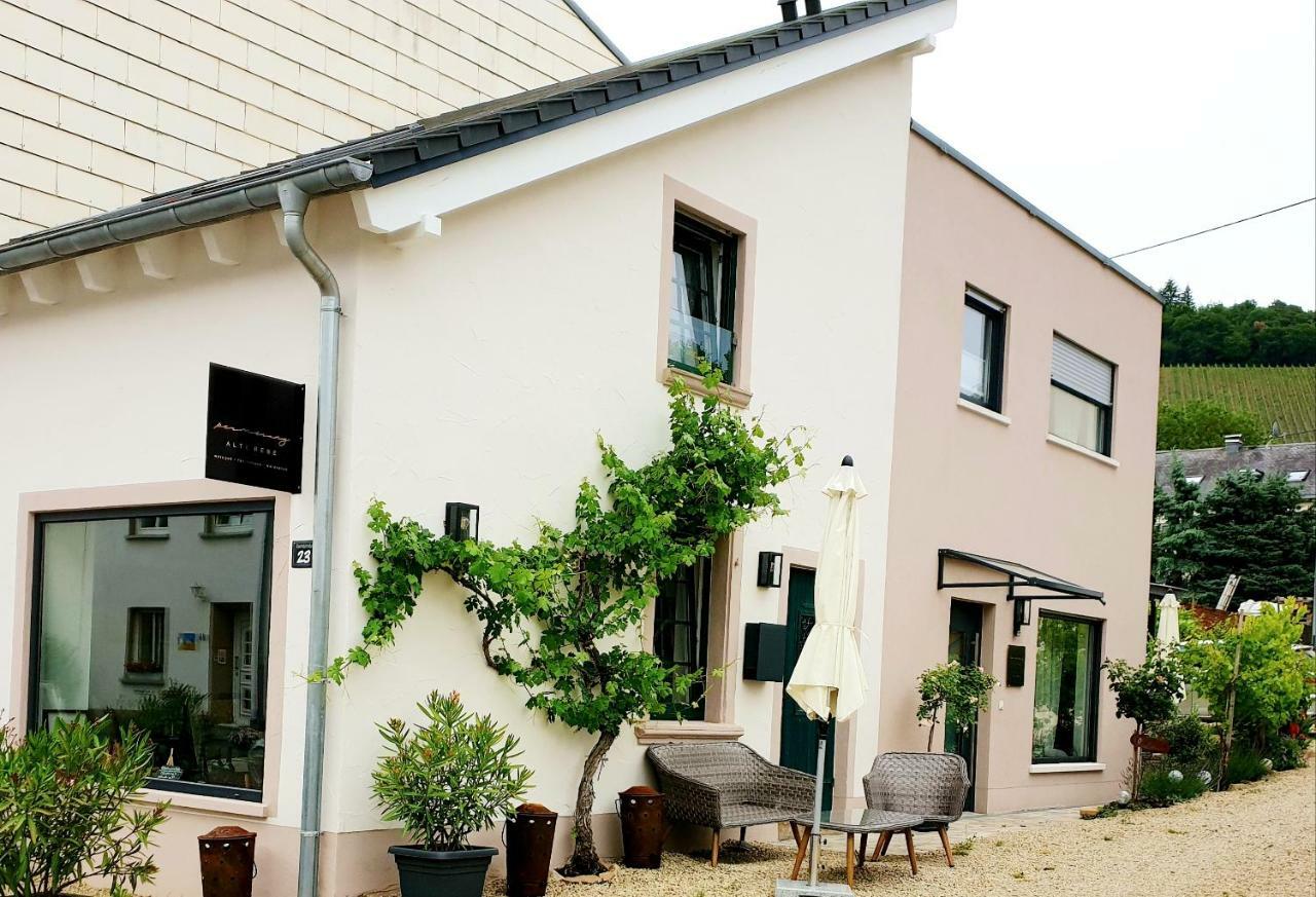 קונז Zur Alten Rebe Ferienhaus Und Weingut מראה חיצוני תמונה