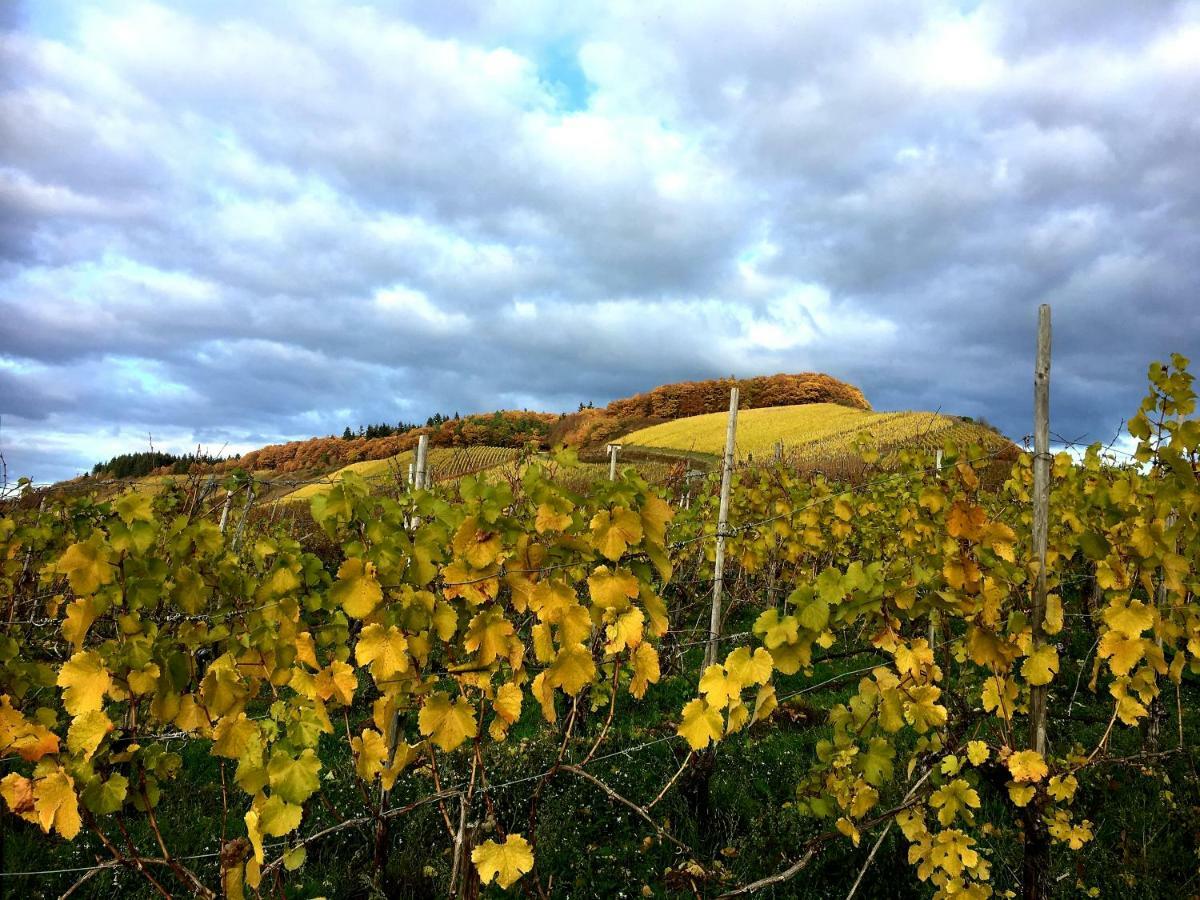 קונז Zur Alten Rebe Ferienhaus Und Weingut מראה חיצוני תמונה